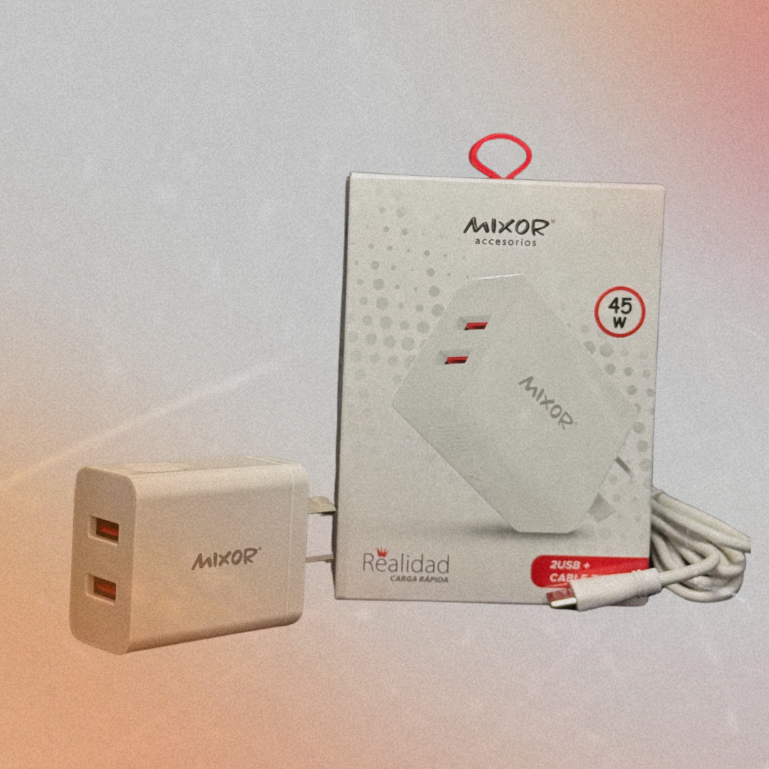 Cargador Realidad 45W